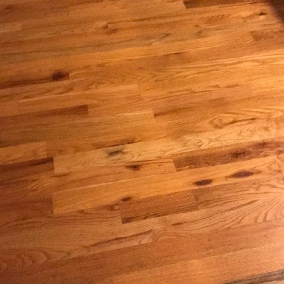 Meet your Posher, David - Picture 1 of 1